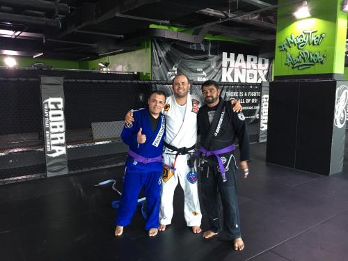 Purple belt · May 5, 2016 · Promoted by Pedro Duarte