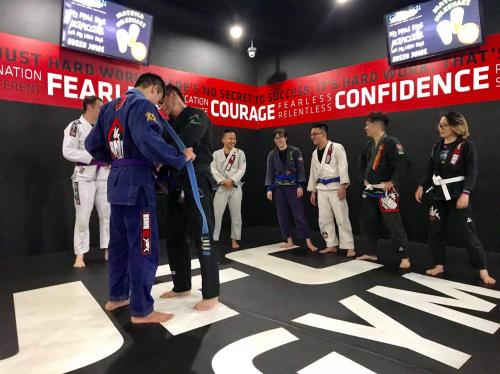 Purple belt · March 30, 2018 · Promoted by Arnaud Lepont