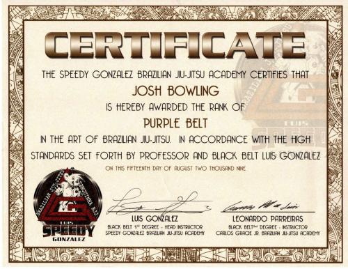 Purple belt · August 15, 2009 · Promoted by Mauricio Tinguinha Mariano