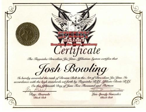 Brown belt · June 15, 2013 · Promoted by Mauricio Tinguinha Mariano