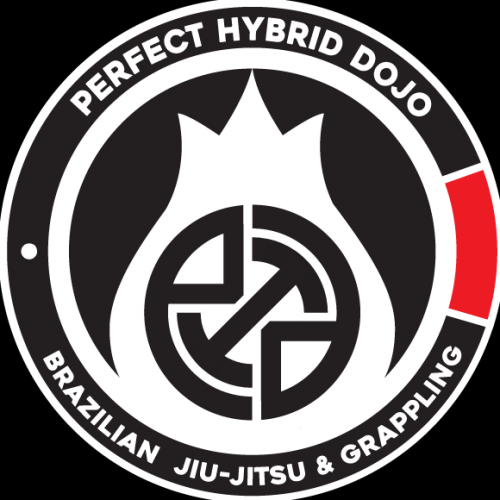 PhD-BJJ