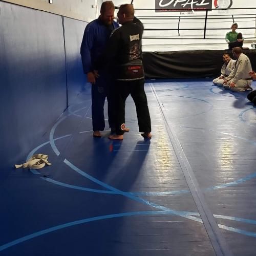 Blue belt · November 20, 2019 · Promoted by Michael DesRosiers