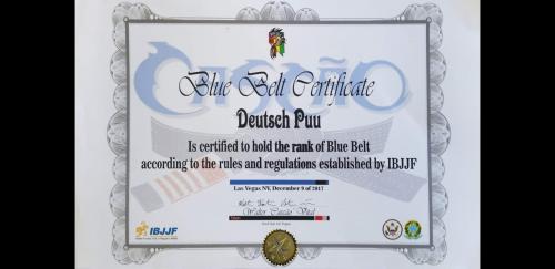 Blue belt · December 9, 2017 · Promoted by Walter Vital