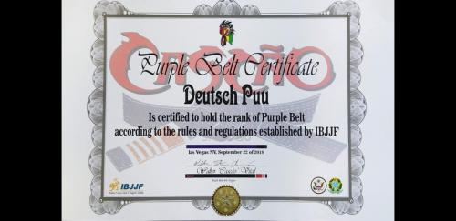 Purple belt · November 22, 2018 · Promoted by Walter Vital