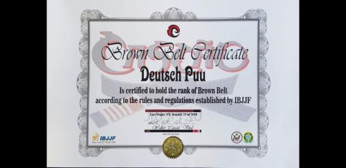 Brown belt · August 31, 2019 · Promoted by Walter Vital