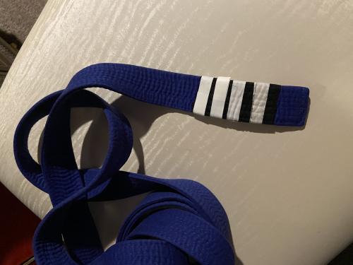 Blue belt · July 22, 2017 · Promoted by Hans Thompson