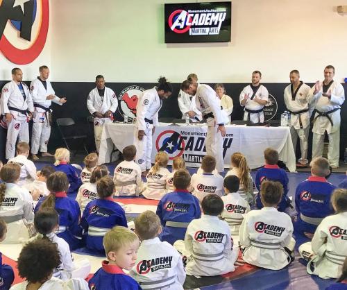 Black belt 1st degree · December 20, 2017 · Promoted by Michel Buiu Pereira