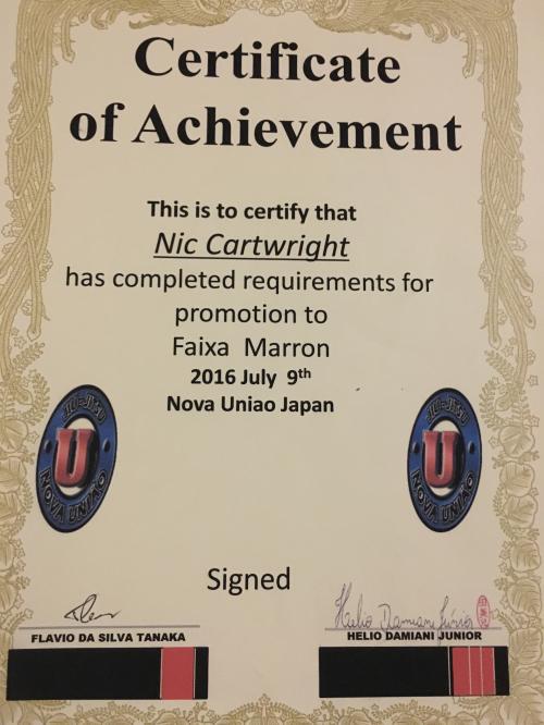 Brown belt · July 9, 2016 · Promoted by Flavio da Silva