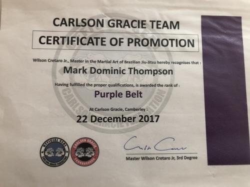 Purple belt · December 22, 2017 · Promoted by Wilson Junior