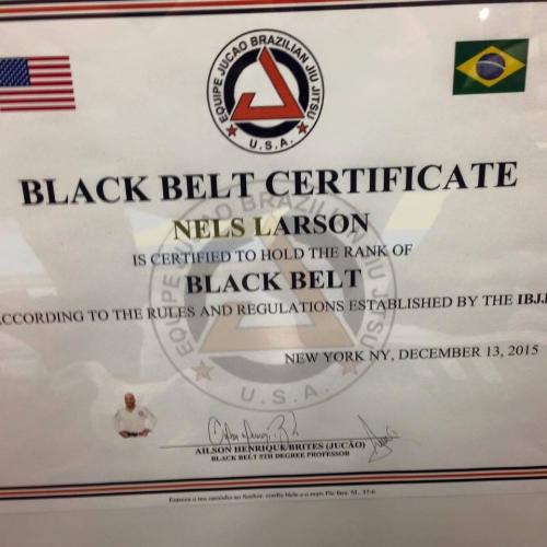 Black belt · December 13, 2015 · Promoted by Alison Brites