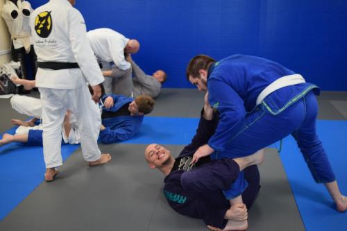 Guga Seminar 2020