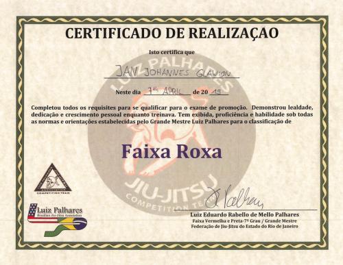 Purple belt · April 7, 2019 · Promoted by Luiz Palhares