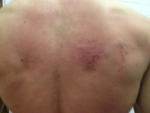 Purple belt · April 16, 2012 · Promoted by Chris Rees