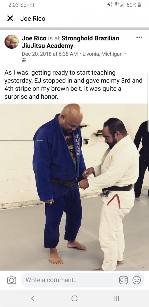 Brown belt · May 25, 2016 · Promoted by Elihu J Ledesma