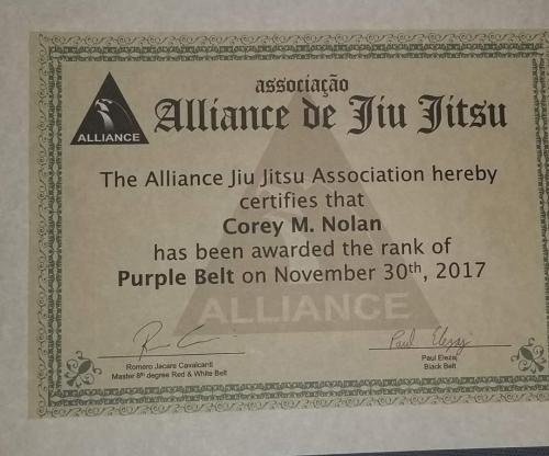 Purple belt · November 29, 2017 · Promoted by Paul Elezaj