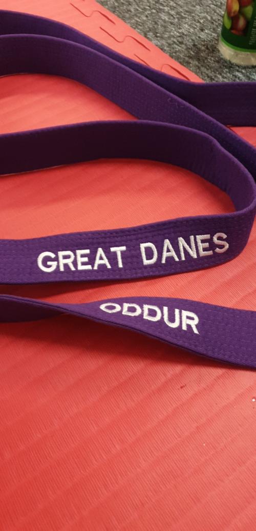 Purple belt · February 27, 2020 · Promoted by Luiz Paulo Lyra