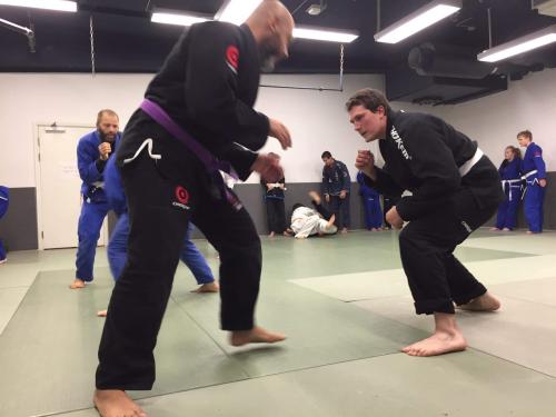 Purple belt · April 9, 2016 · Promoted by Johannes Wieth