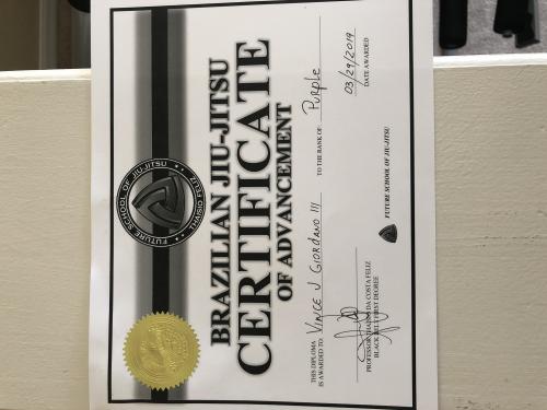 Purple belt · March 29, 2019 · Promoted by Thaisio Feliz