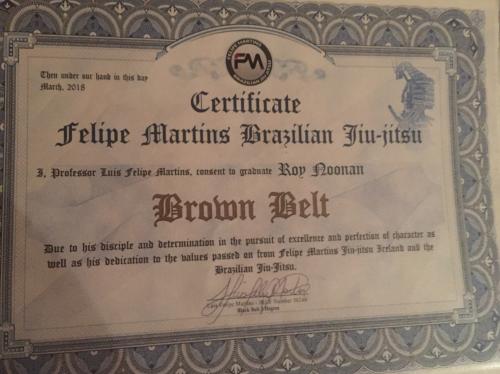 Brown belt · March 28, 2018 · Promoted by Luis Felipe Martins