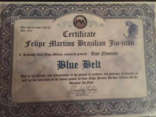 Blue belt · April 25, 2015 · Promoted by John kavanagh