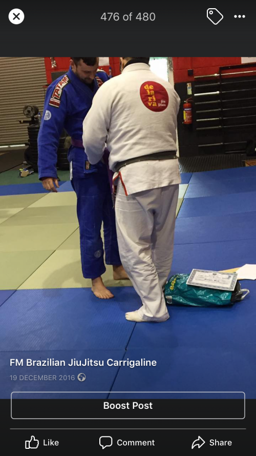 Purple belt · December 17, 2016 · Promoted by Luis Felipe Martins