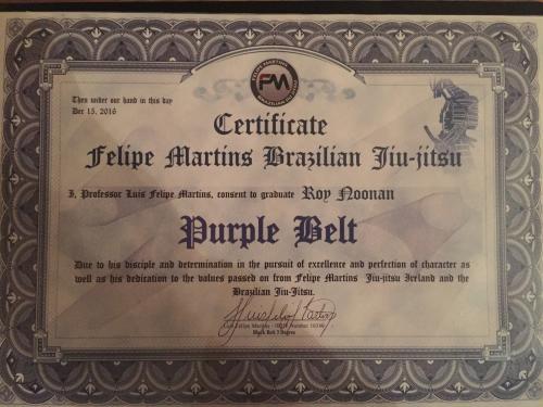 Purple belt · December 17, 2016 · Promoted by Luis Felipe Martins