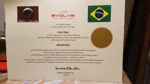 Brown belt · May 2, 2015 · Promoted by Leandro Brodinho Issa