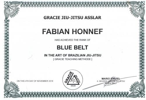 Blue belt · November 4, 2018 · Promoted by Mario Stapel