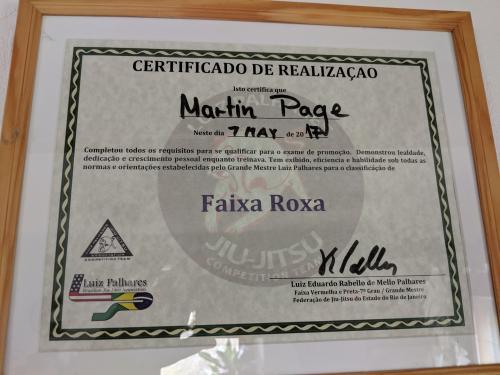 Purple belt · May 7, 2017 · Promoted by Luiz Palhares