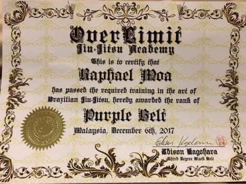 Purple belt · December 6, 2017 · Promoted by Edison Kagohara