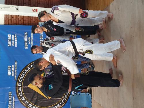 Brown belt · November 23, 2019 · Promoted by Cesar Carceglia