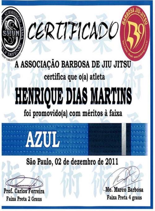 Blue belt · June 2, 2011