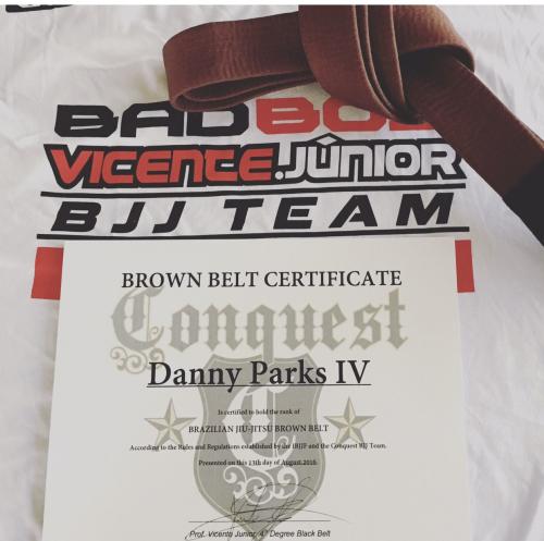 Brown belt · August 13, 2016 · Promoted by Vicente Junior