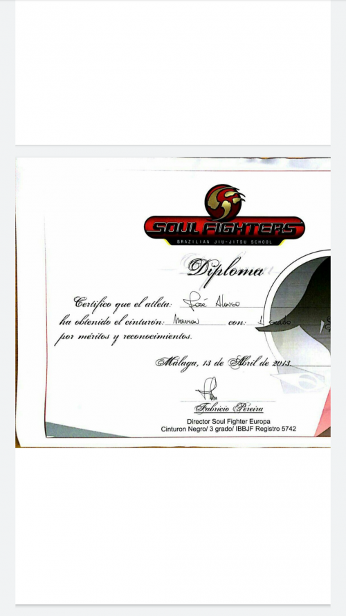 Brown belt · April 13, 2013 · Promoted by Fabricio Pereira