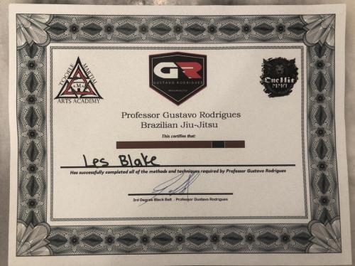 Brown belt · July 19, 2018 · Promoted by Gustavo Rodrigues