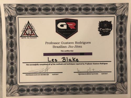 Purple belt · April 10, 2017 · Promoted by Gustavo Rodrigues
