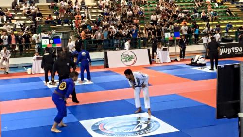 Purple belt · November 25, 2014 · Promoted by Luis Schaerer