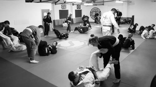 White belt · December 11, 2017