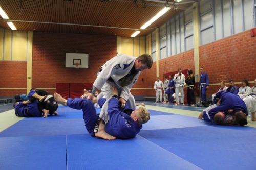 Blue belt · November 7, 2015 · Promoted by Arnoud Terpstra (team GFA/Leeuwarden/Netherlands) and Henk Heneweer (black belt and owner/founder of Team Kaishin Almere/Netherlands)