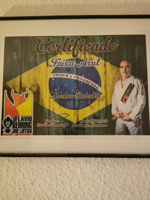 Blue belt · August 19, 2018 · Promoted by Stephan Van Wichelen