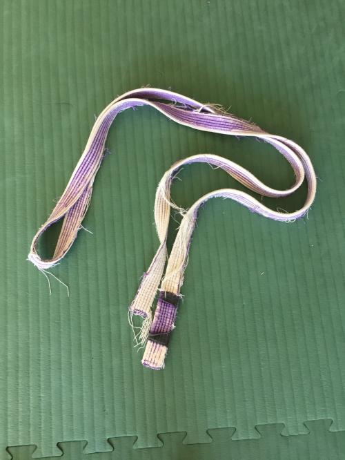 Purple belt · December 1, 2008 · Promoted by Clovis Silva