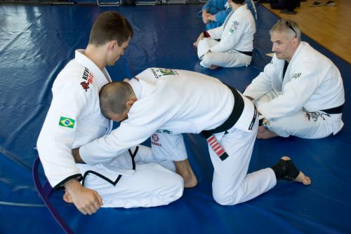 Purple belt · June 22, 2008 · Promoted by Megaton