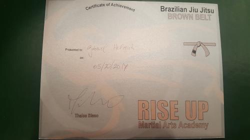 Brown belt · May 20, 2017 · Promoted by Thales Blaso