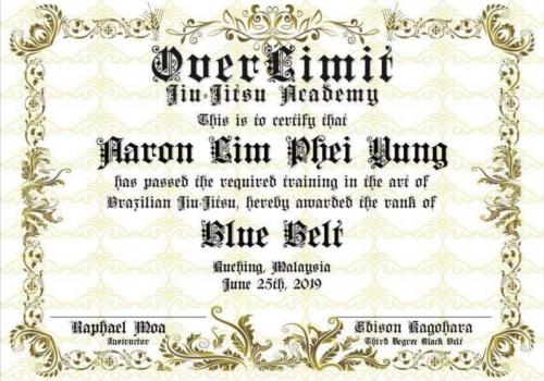 Blue belt · June 25, 2019 · Promoted by Raphael Moa