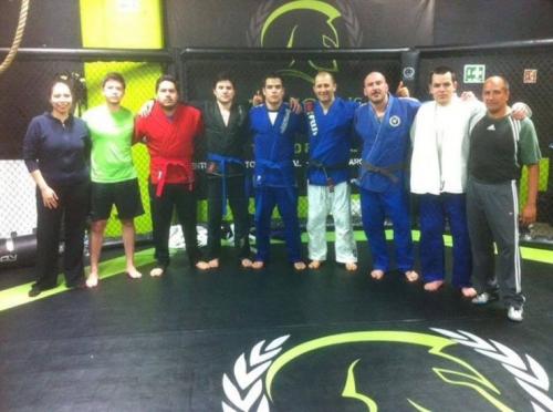 Brown belt · February 12, 2014 · Promoted by Jacson Correia