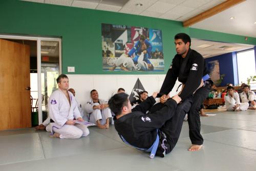 Purple belt · November 3, 2014 · Promoted by Kevin Sheridan