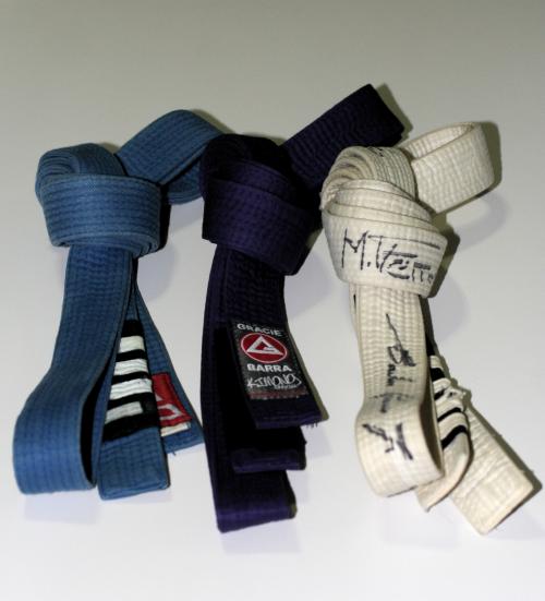 Purple belt · December 12, 2011 · Promoted by Don Fox