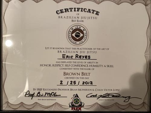Black belt 1st degree · February 20, 2017 · Promoted by Brian Mcpherson