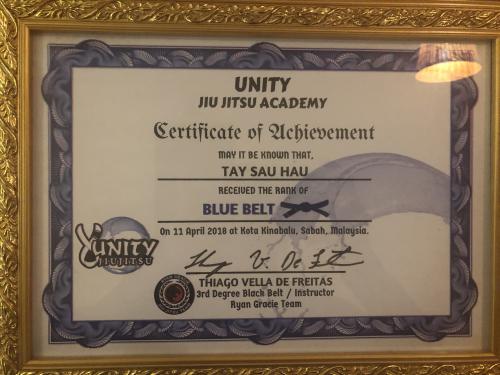 Blue belt · April 11, 2018 · Promoted by Thiago Vella de freitas