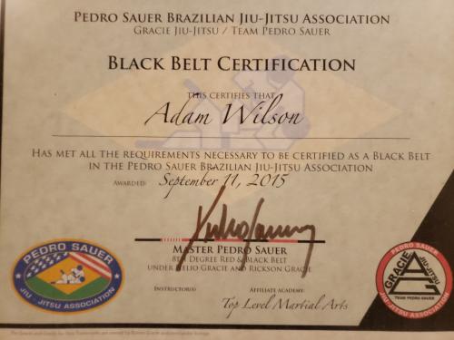 Black belt · September 11, 2015 · Promoted by Pedro Sauer